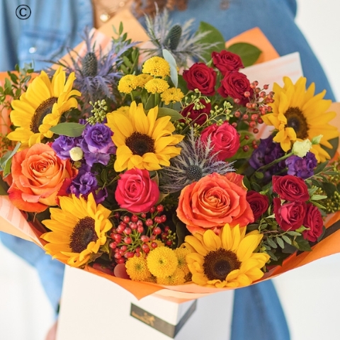 The Sunflower Carnival
